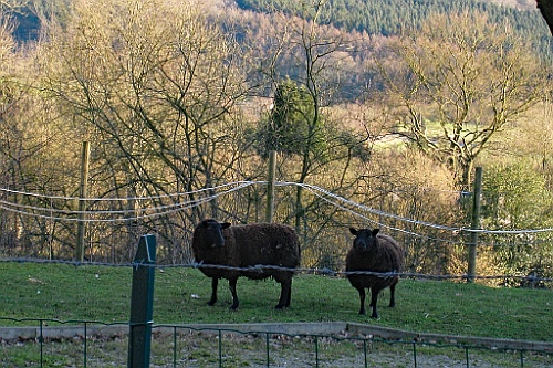 Stavelot (15)